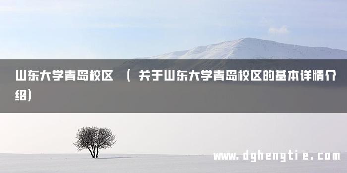 山东大学青岛校区 (关于山东大学青岛校区的基本详情介绍)